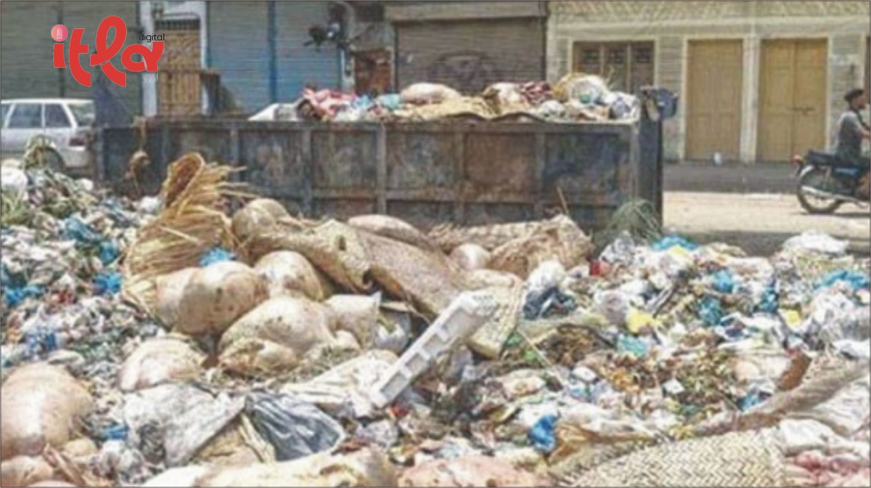 Punjab Government Announces Rs50,000 Fine for Dumping Animal Waste During Eid-ul-Adha