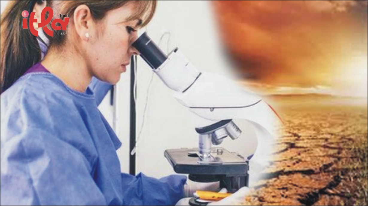 Another Alarming Impact of Climate Change Revealed: Rise in Antibiotic Resistance