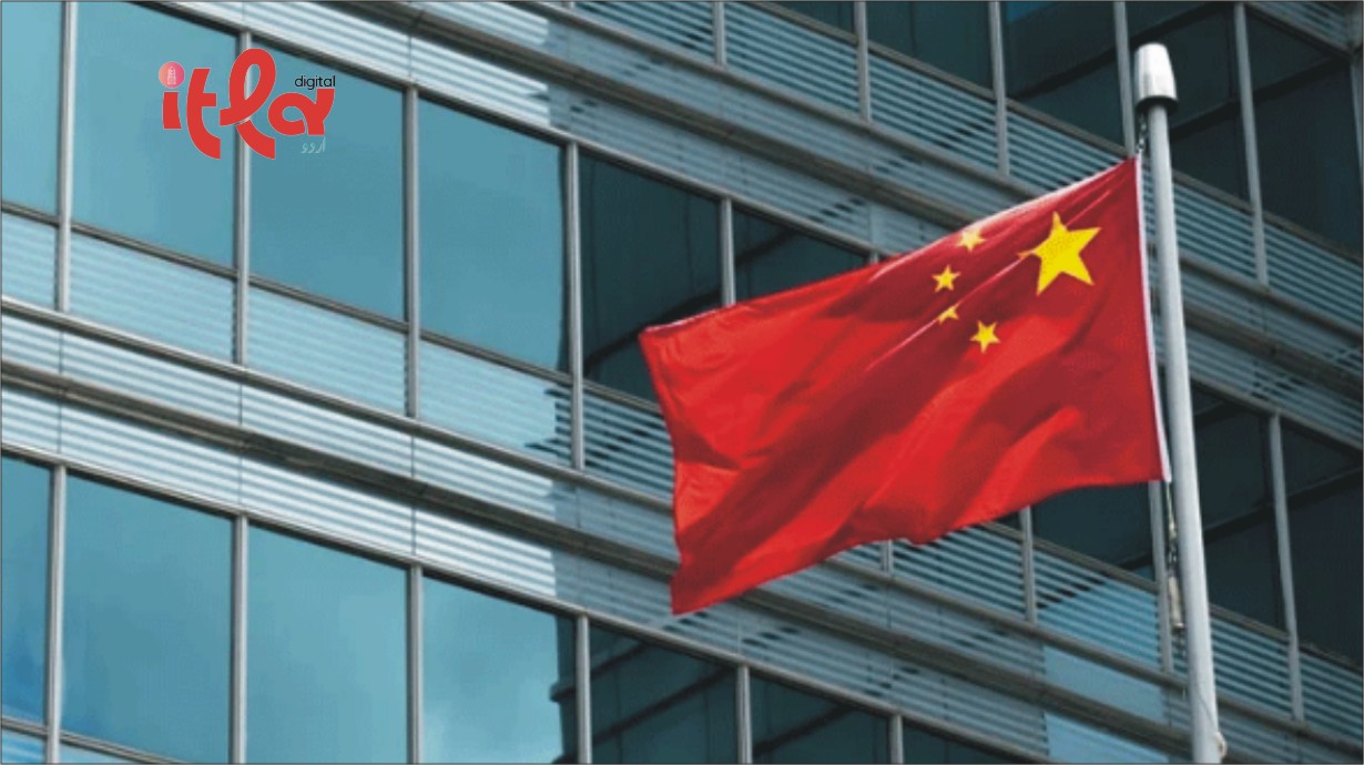 Turtles and Fish Being Used for Maritime Espionage, Claims China