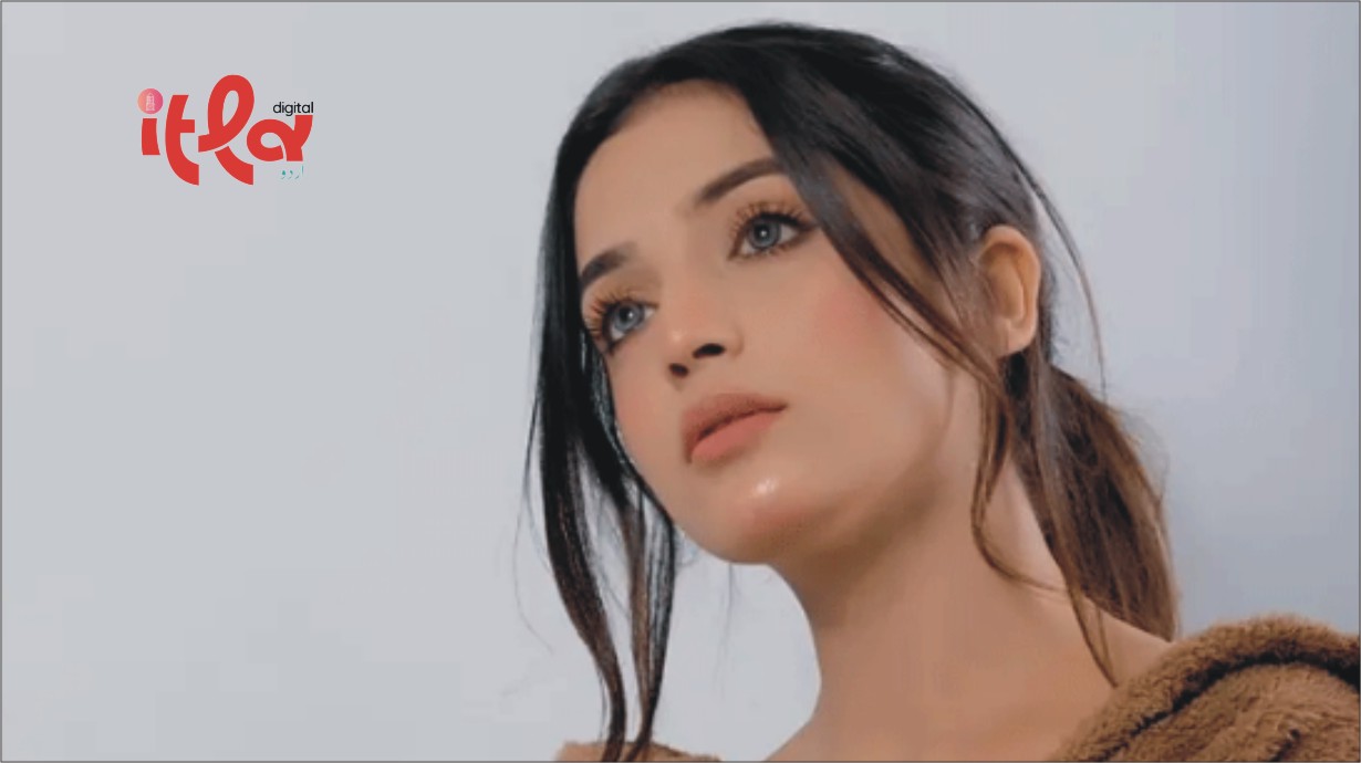 Actress Laiba Khan's Marriage in Danger?