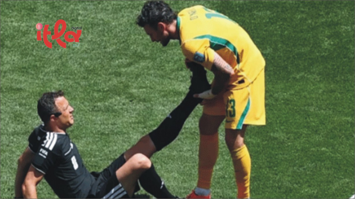 Bizarre Incident in FIFA World Cup: Referee Injured, Match Halted
