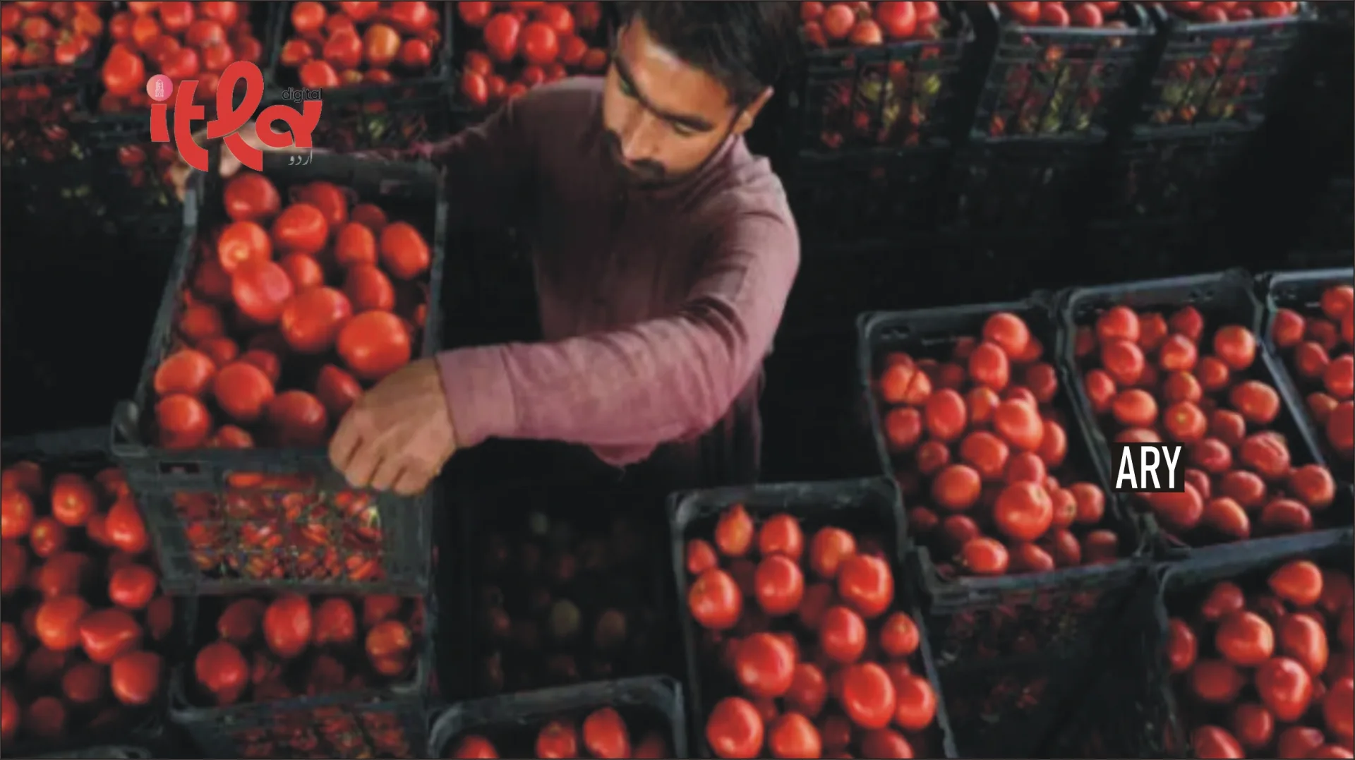 ایرانی پیٹرول کے بعد ایرانی ٹماٹر بھی مارکیٹ میں آگئے