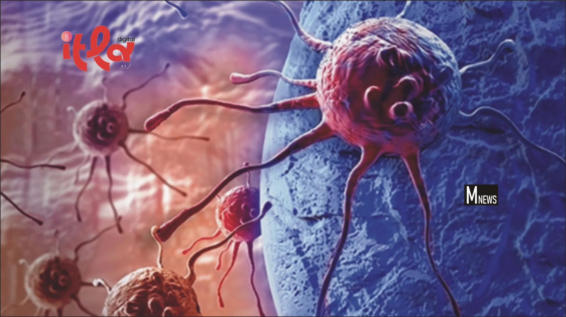 Alarming Rise in Head and Neck Cancers Among Young Adults