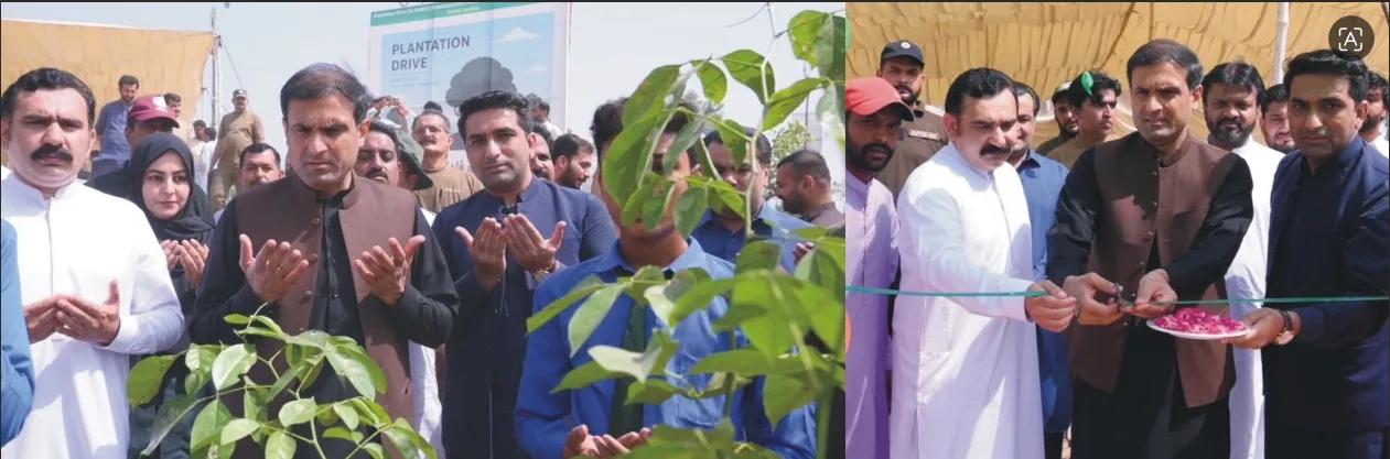 Faisalabad Opens Three-Acre Haq Forest Park II with More Than 3,000 Plants