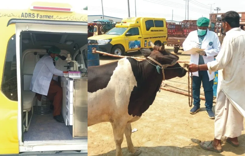 Mobile veterinary laboratory provides livestock disease testing in Faisalabad division