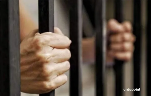 Court Sentences Human Trafficker to 4 Years in Jail Over Spain Visa Fraud