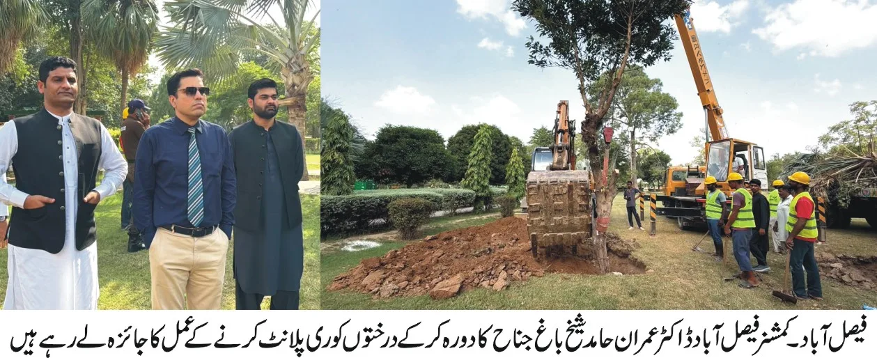 Commissioner Faisalabad Inspects Replanting of Trees Affected by Metro Bus Project Route