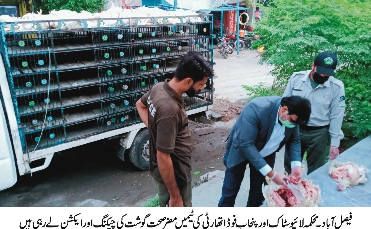 Livestock department and Punjab Food Authority seize 180 kg of unwholesome meat in joint raid