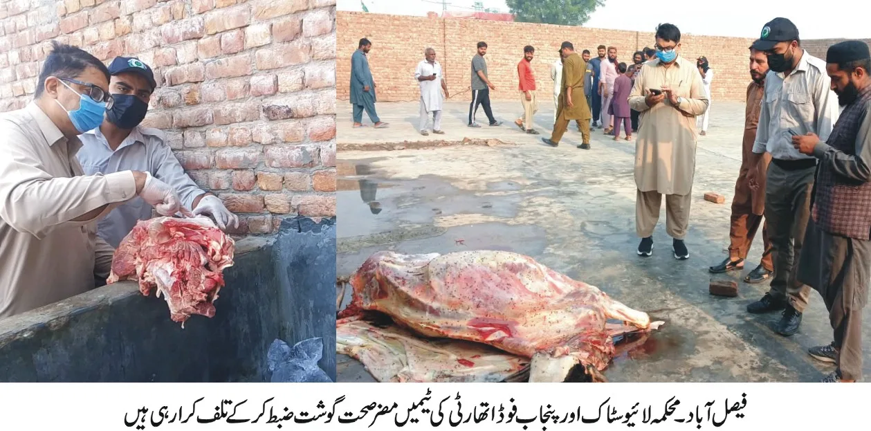 غیر قانونی سلاٹر ہاؤس کے خلاف لائیوسٹاک اور پنجاب فوڈ اتھارٹی کی بڑی مشترکہ کارروائی: 2000 کلو گرام مضرِ صحت گوشت برآمد و تلف، مقدمہ درج